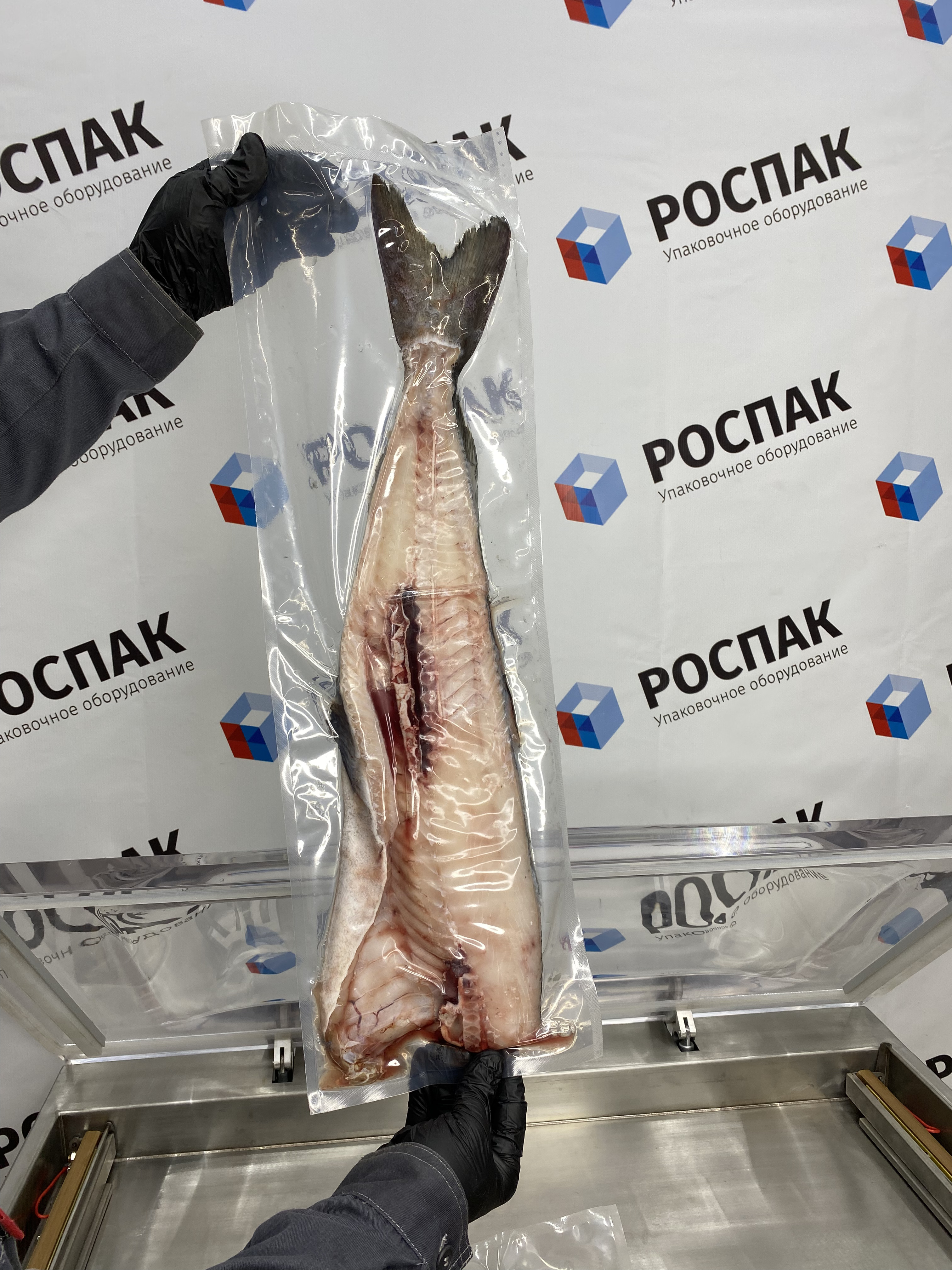 Вакуумная упаковка крупной рыбы: сохранение свежести и герметичности продукта