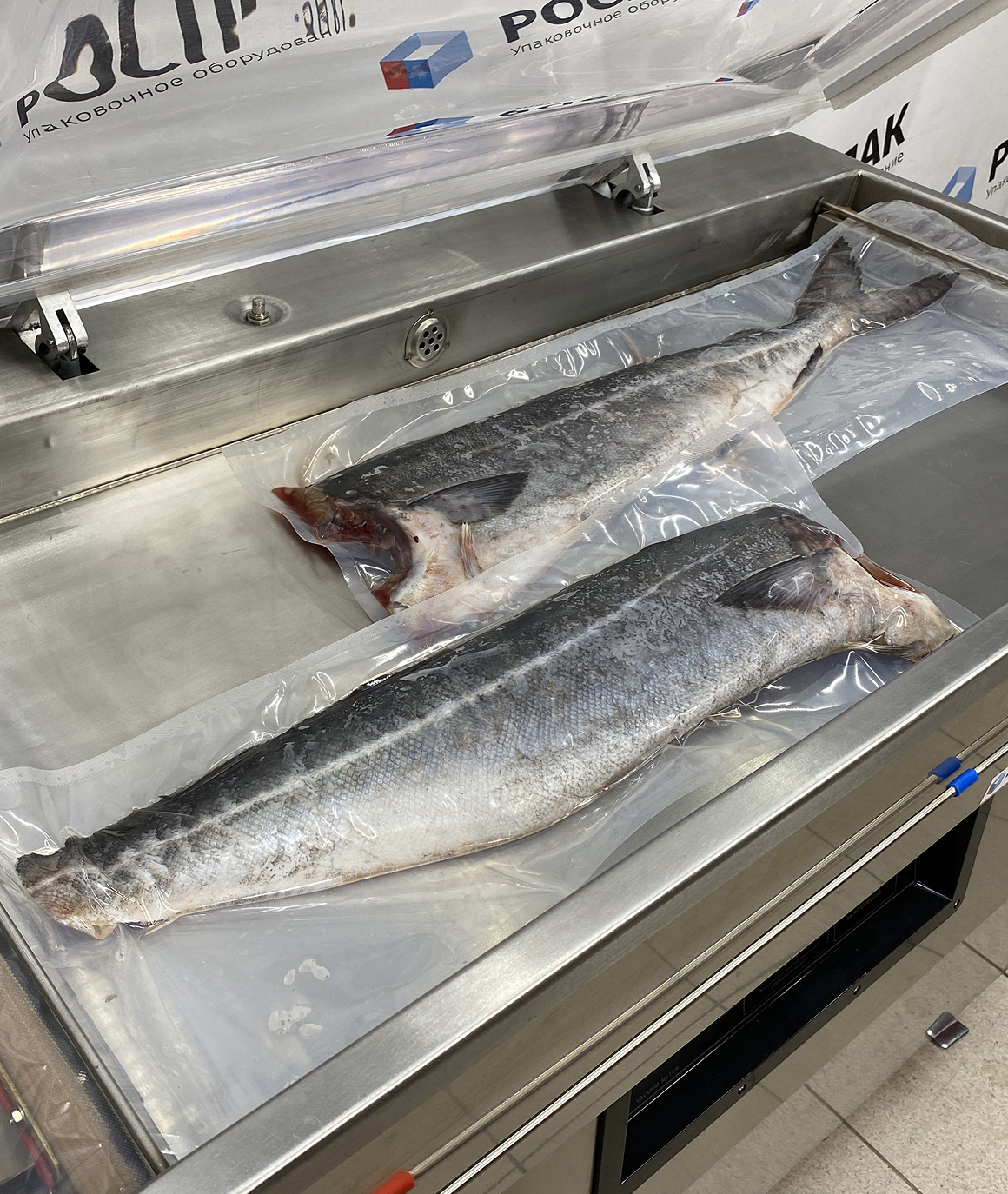 Вакуумная упаковка крупной рыбы: сохранение свежести и герметичности продукта